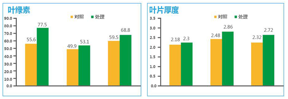 領先生物“海藻+氮磷鉀+腐植酸”讓果樹旺起來